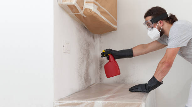 Professional Mold Cleanup technician working in Hartfield, VA