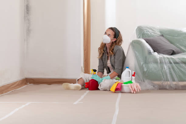 Reliable Mold Cleanup contractor in Hartfield, VA by Cheap Mold Removal